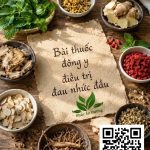 NHỨC ĐẦU ĐIỀU TRỊ ĐÔNG Y TẠI PHÚC AN ĐƯỜNG