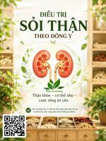🌿 ĐIỀU TRỊ SỎI THẬN THEO ĐÔNG Y – PHÚC AN ĐƯỜNG