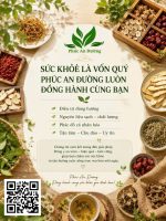 🌿 ĐIỀU TRỊ SỎI THẬN THEO ĐÔNG Y – PHÚC AN ĐƯỜNG - Image 3
