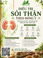 🌿 ĐIỀU TRỊ SỎI THẬN THEO ĐÔNG Y – PHÚC AN ĐƯỜNG - Image 2