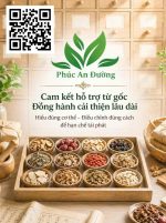 TIÊU RA MÁU – ĐỪNG ĐỢI NẶNG MỚI LO Giải pháp Đông y xử lý từ gốc – hạn chế tái phát - Image 3