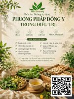 🌿 ĐIỀU TRỊ MỀ ĐAY – GHẺ NGỨA THEO ĐÔNG Y - Image 3