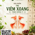 👃 ĐIỀU TRỊ VIÊM XOANG THEO ĐÔNG Y – PHÚC AN ĐƯỜNG