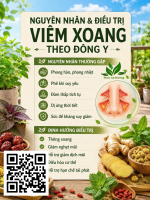 👃 ĐIỀU TRỊ VIÊM XOANG THEO ĐÔNG Y – PHÚC AN ĐƯỜNG - Image 2